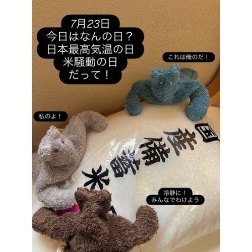 小豆カイロ　ねこマッチョ　※お色お任せ(アトリエ白鯨さん)のメインイメージ